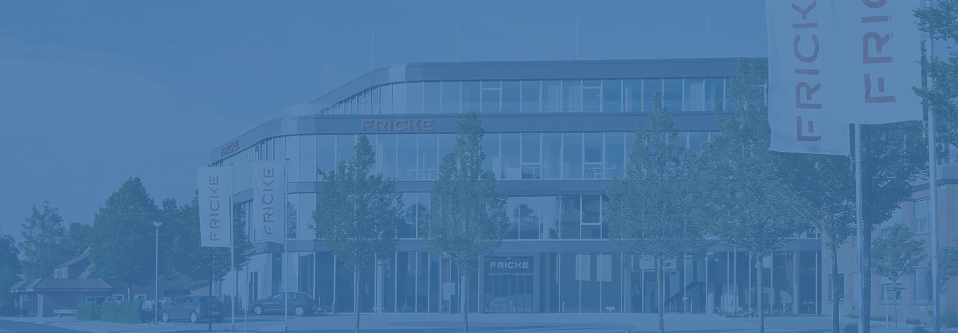 Fricke Success Story Slider